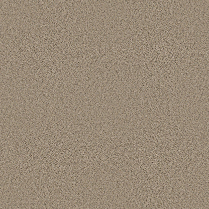 BERBER CUT PILE