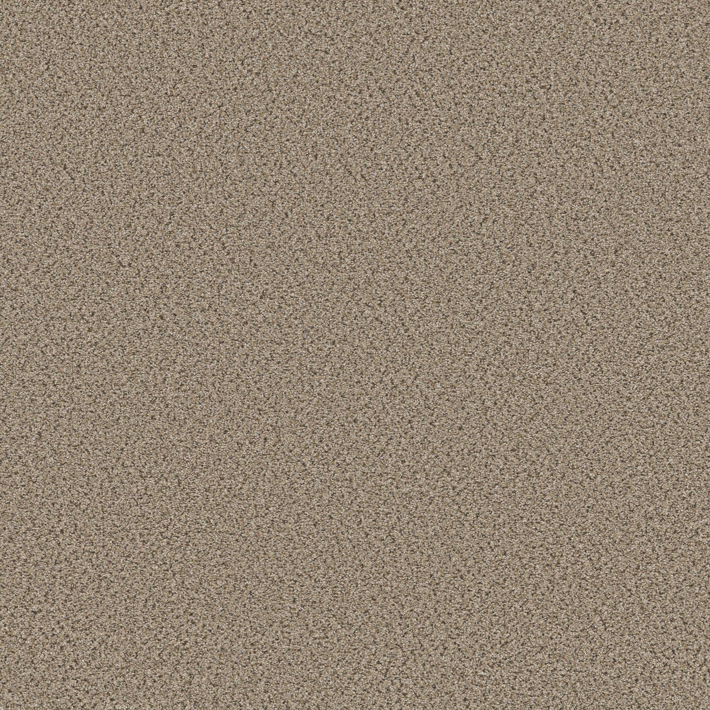 BERBER CUT PILE