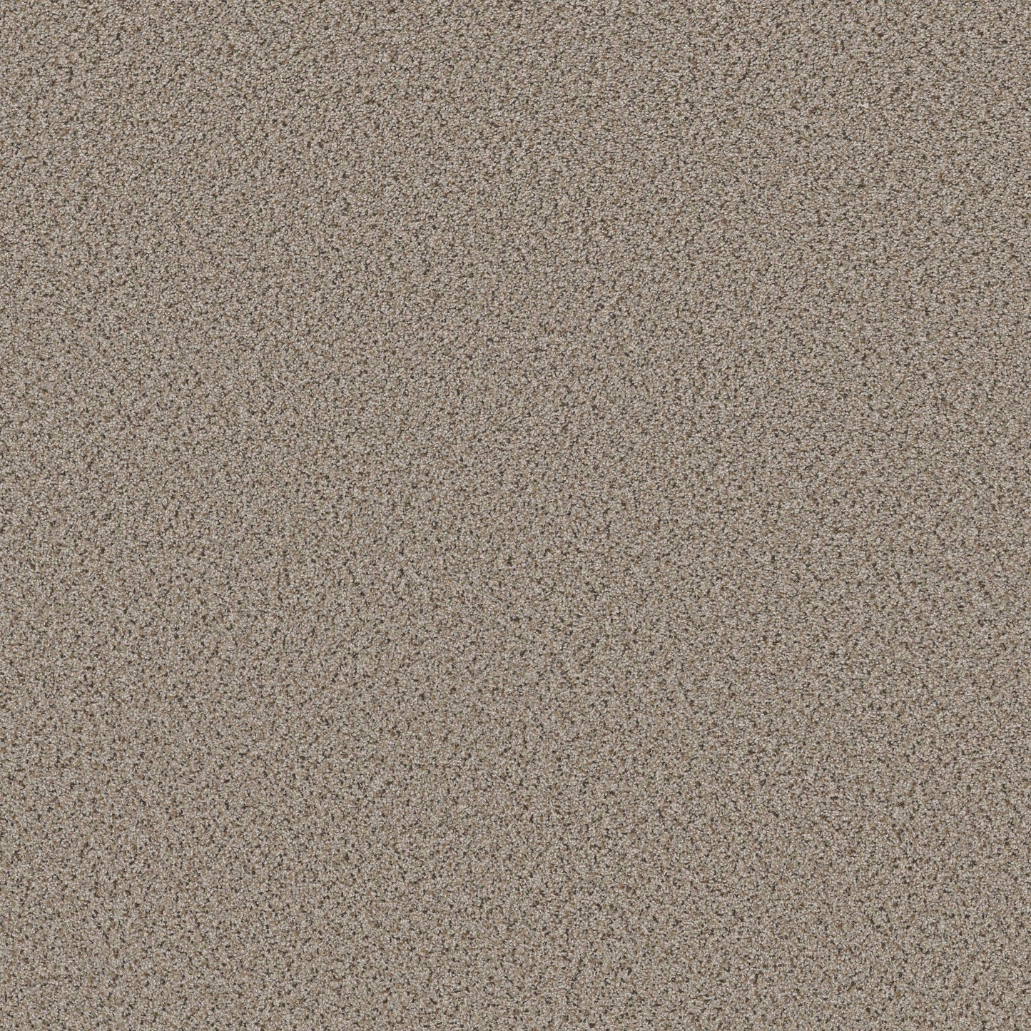 BERBER CUT PILE