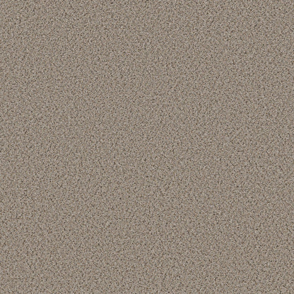 BERBER CUT PILE