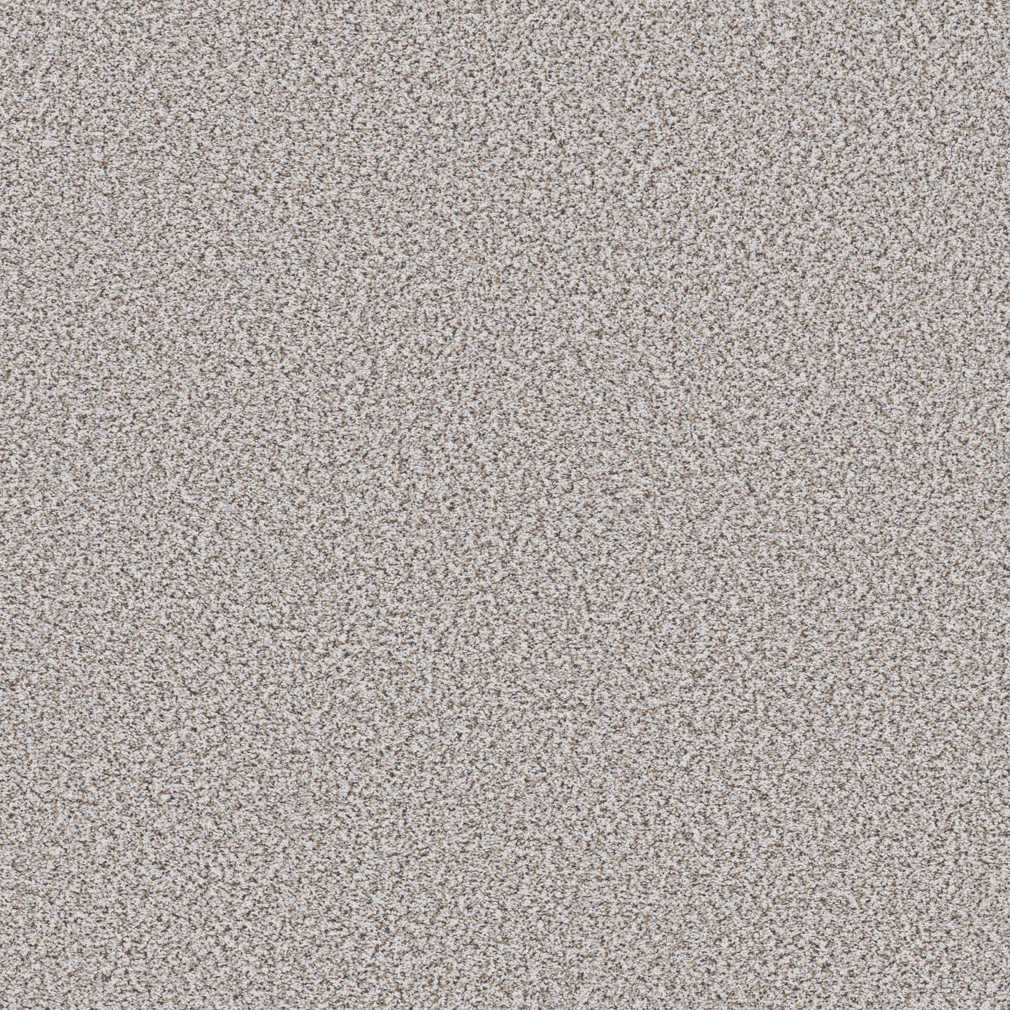 BERBER CUT PILE