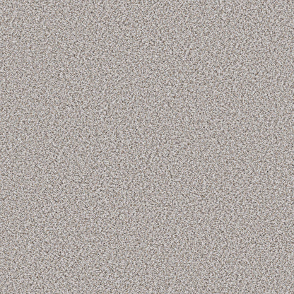 BERBER CUT PILE