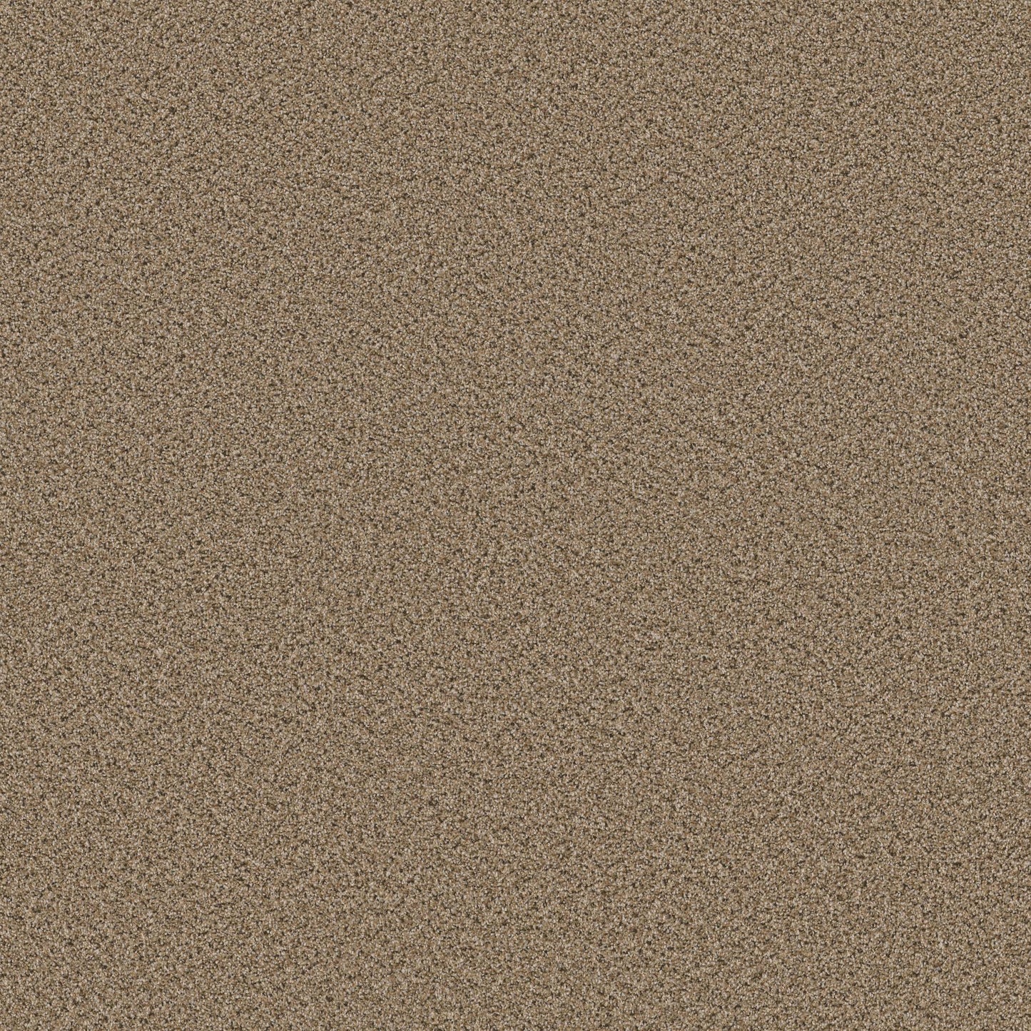 BERBER CUT PILE