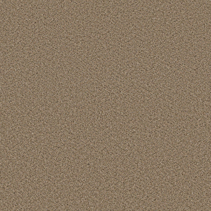 BERBER CUT PILE