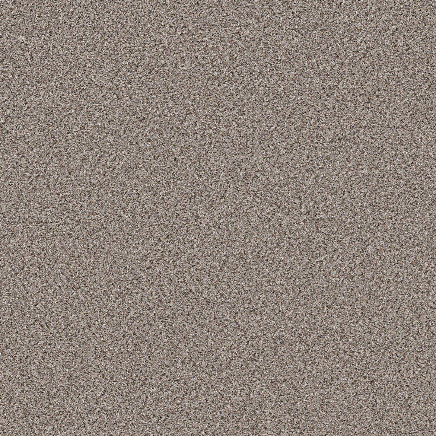 BERBER CUT PILE