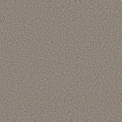 BERBER CUT PILE