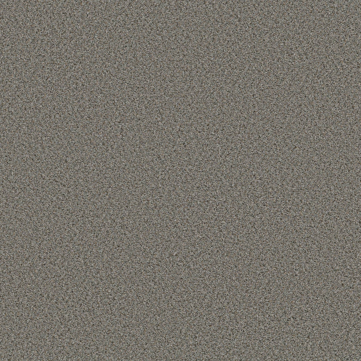 BERBER CUT PILE