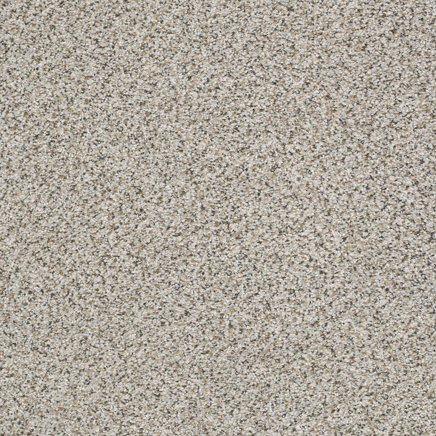 BERBER CUT PILE