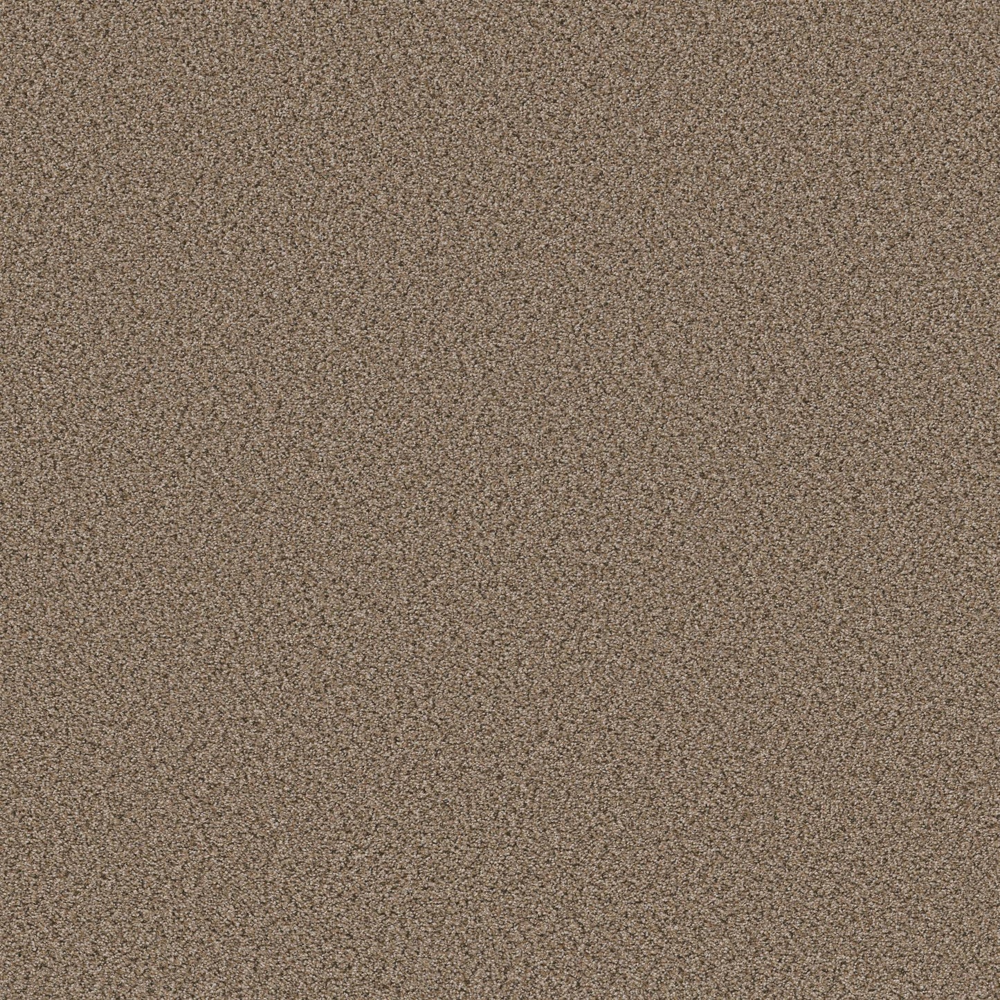 BERBER CUT PILE