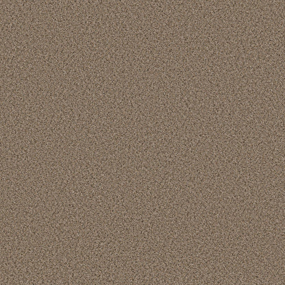 BERBER CUT PILE