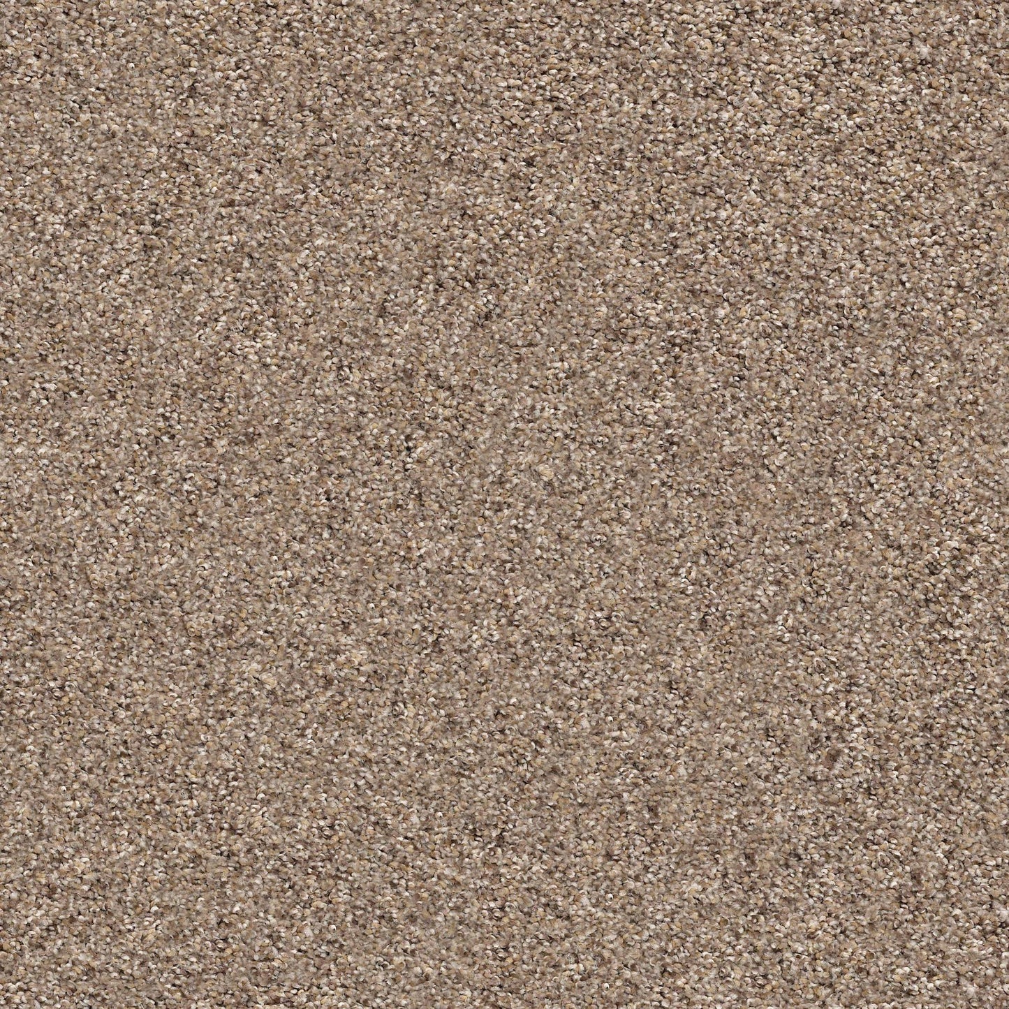 BERBER CUT PILE