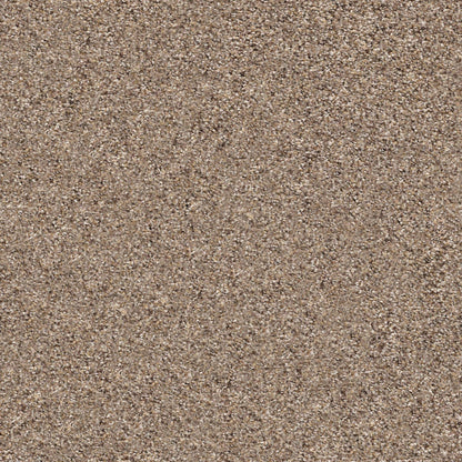 BERBER CUT PILE