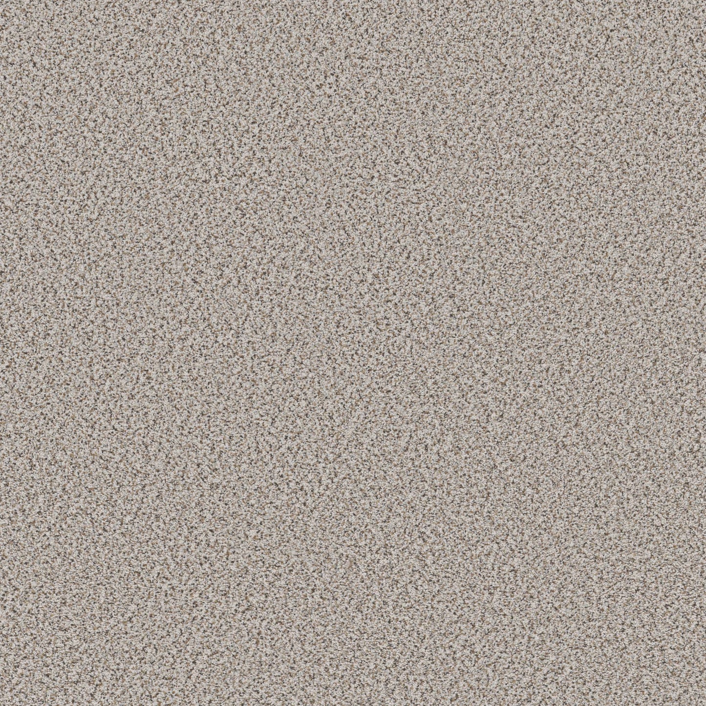 BERBER CUT PILE