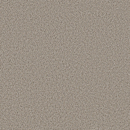 BERBER CUT PILE