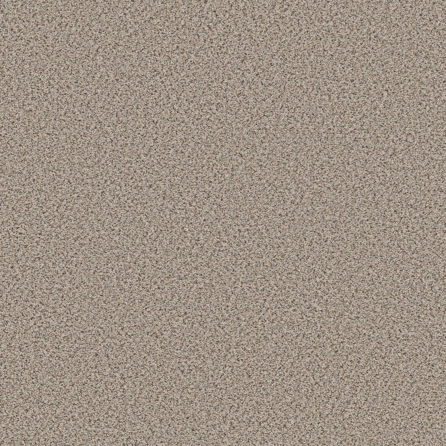 BERBER CUT PILE