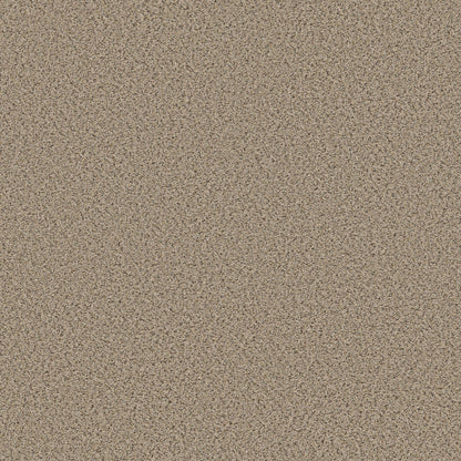 BERBER CUT PILE