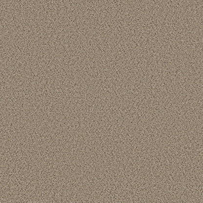 BERBER CUT PILE