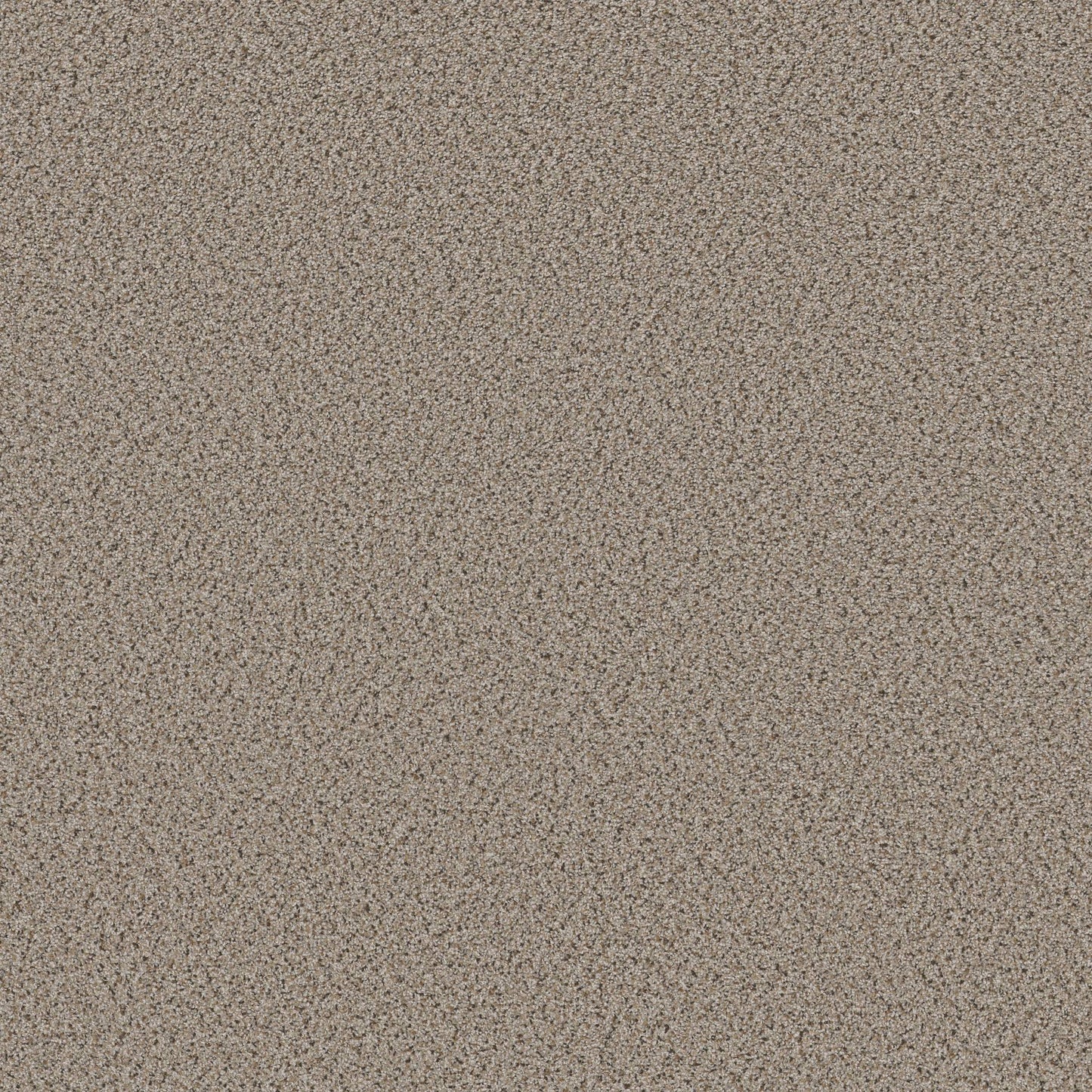 BERBER CUT PILE