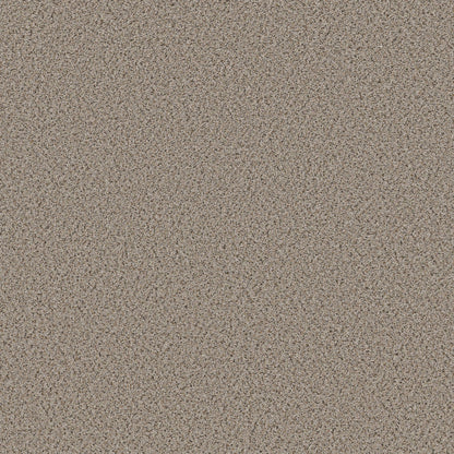 BERBER CUT PILE