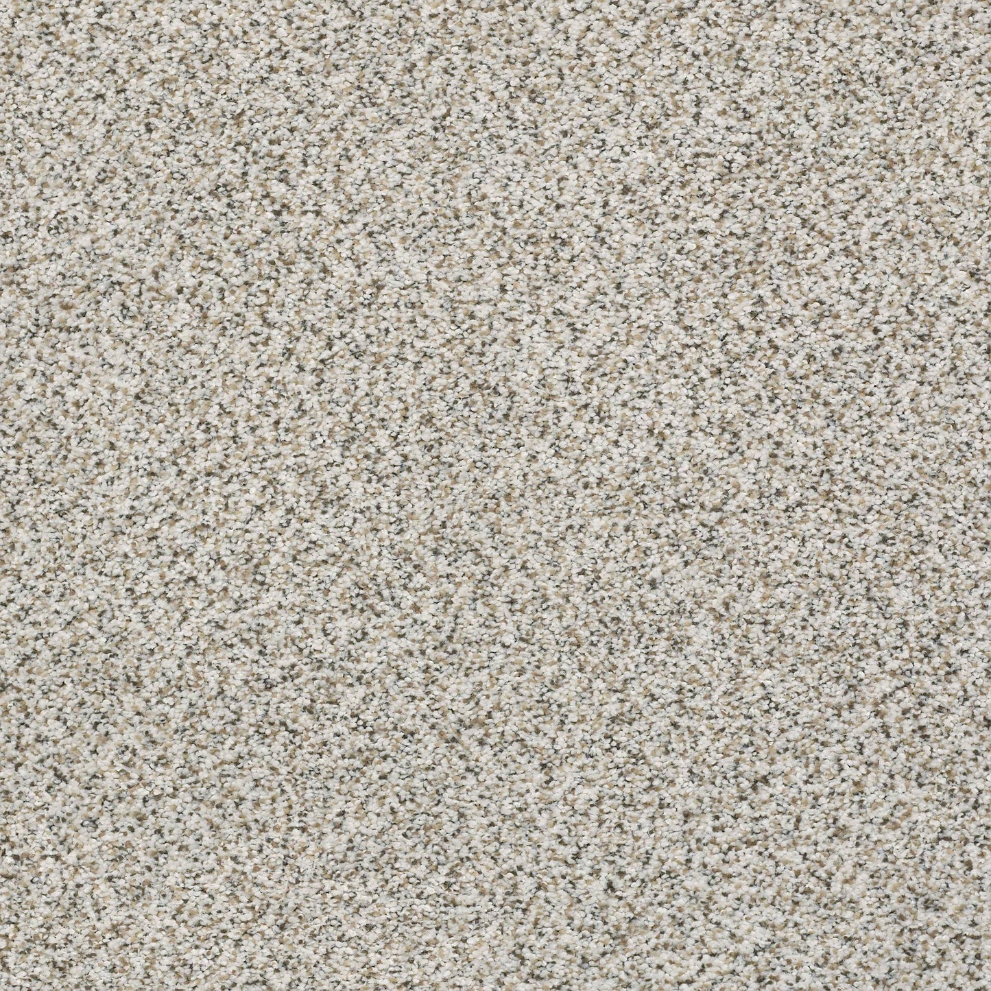 BERBER CUT PILE