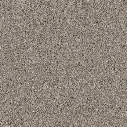 BERBER CUT PILE