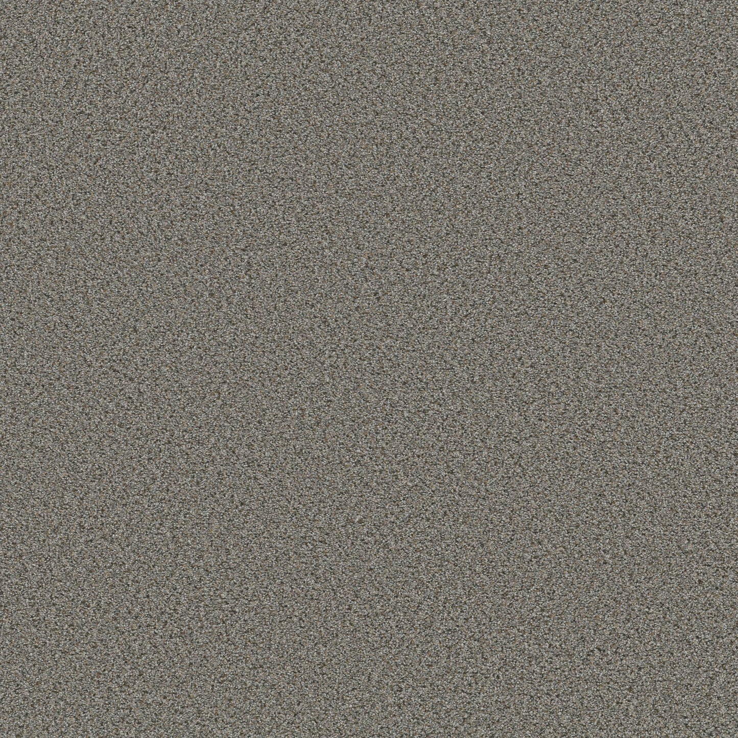 BERBER CUT PILE
