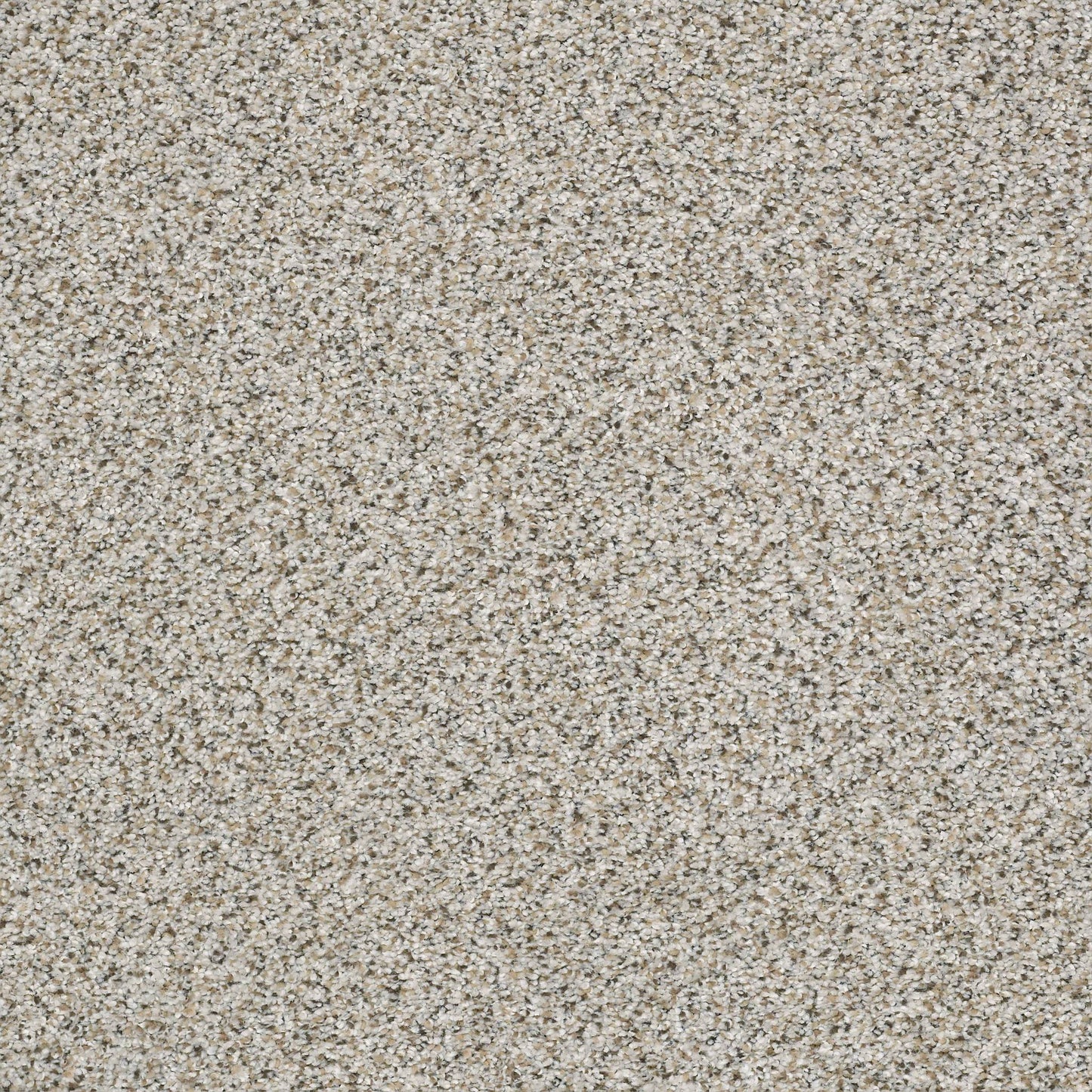 BERBER CUT PILE