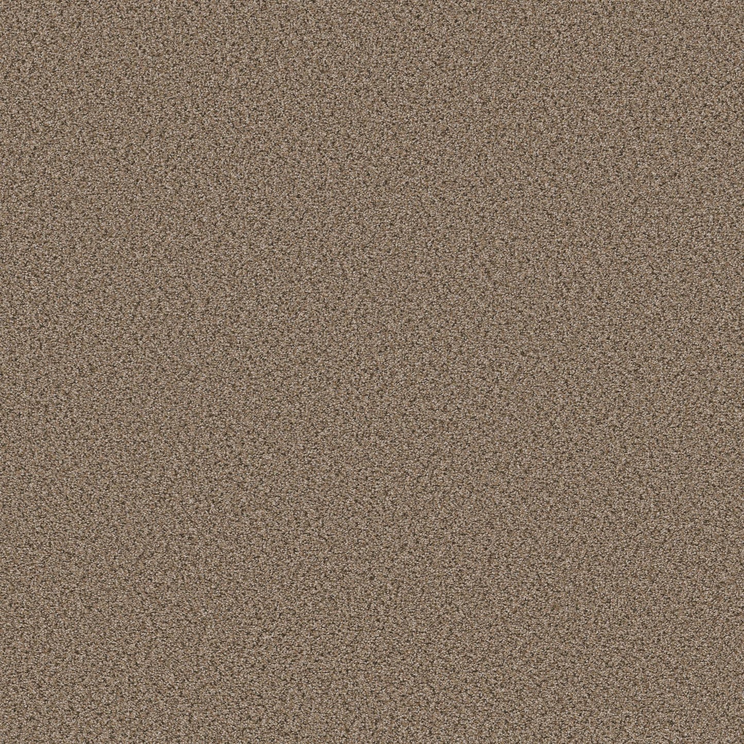 BERBER CUT PILE