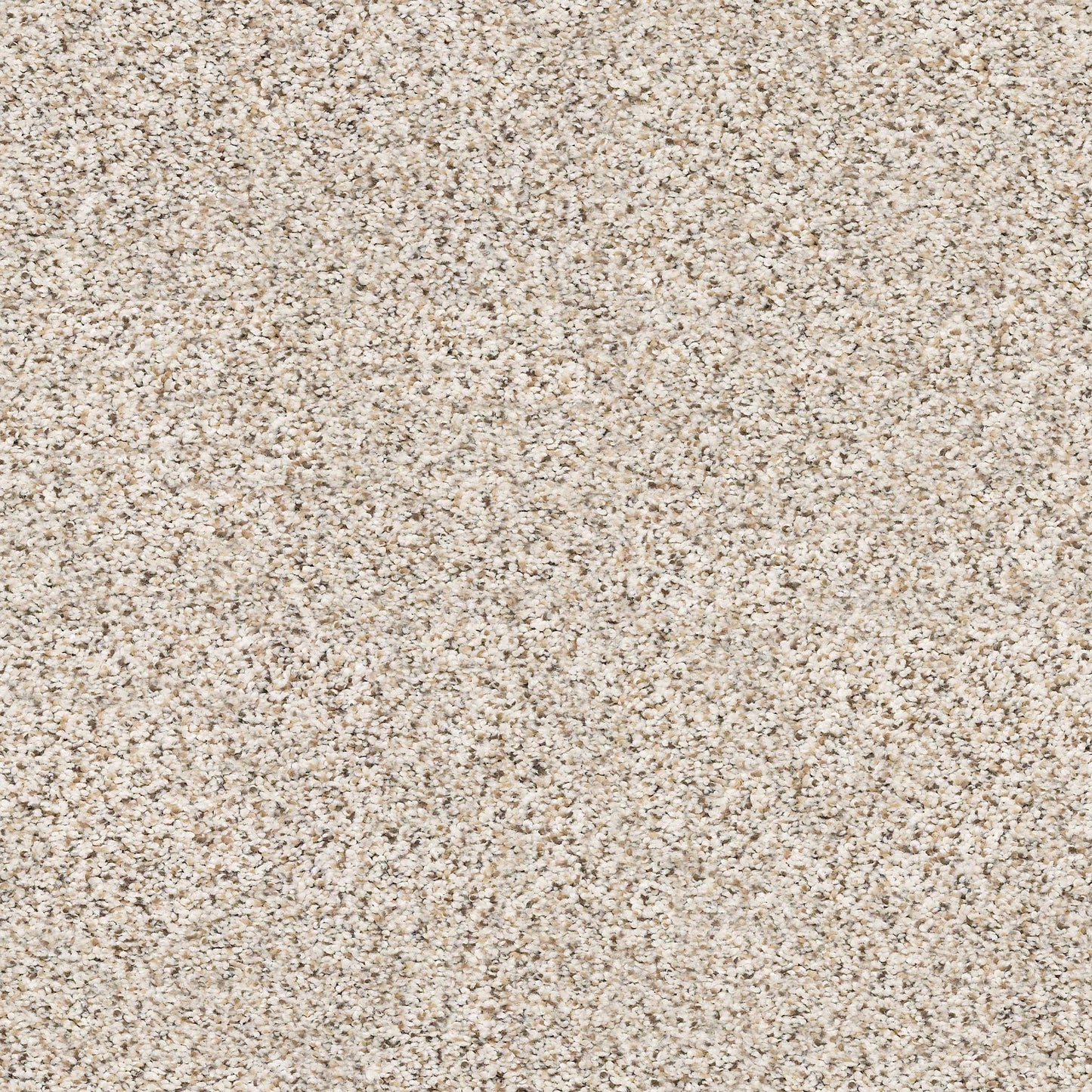 BERBER CUT PILE
