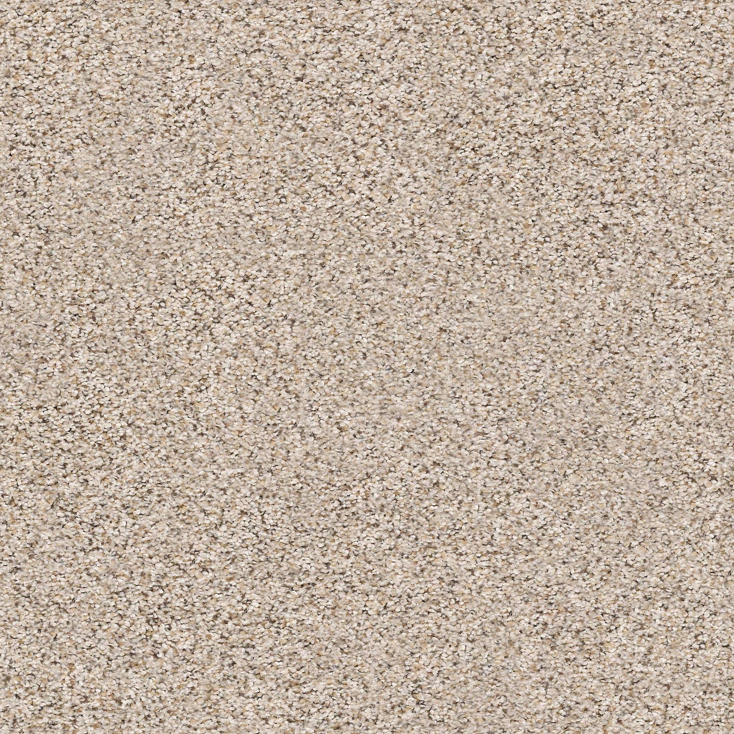 BERBER CUT PILE