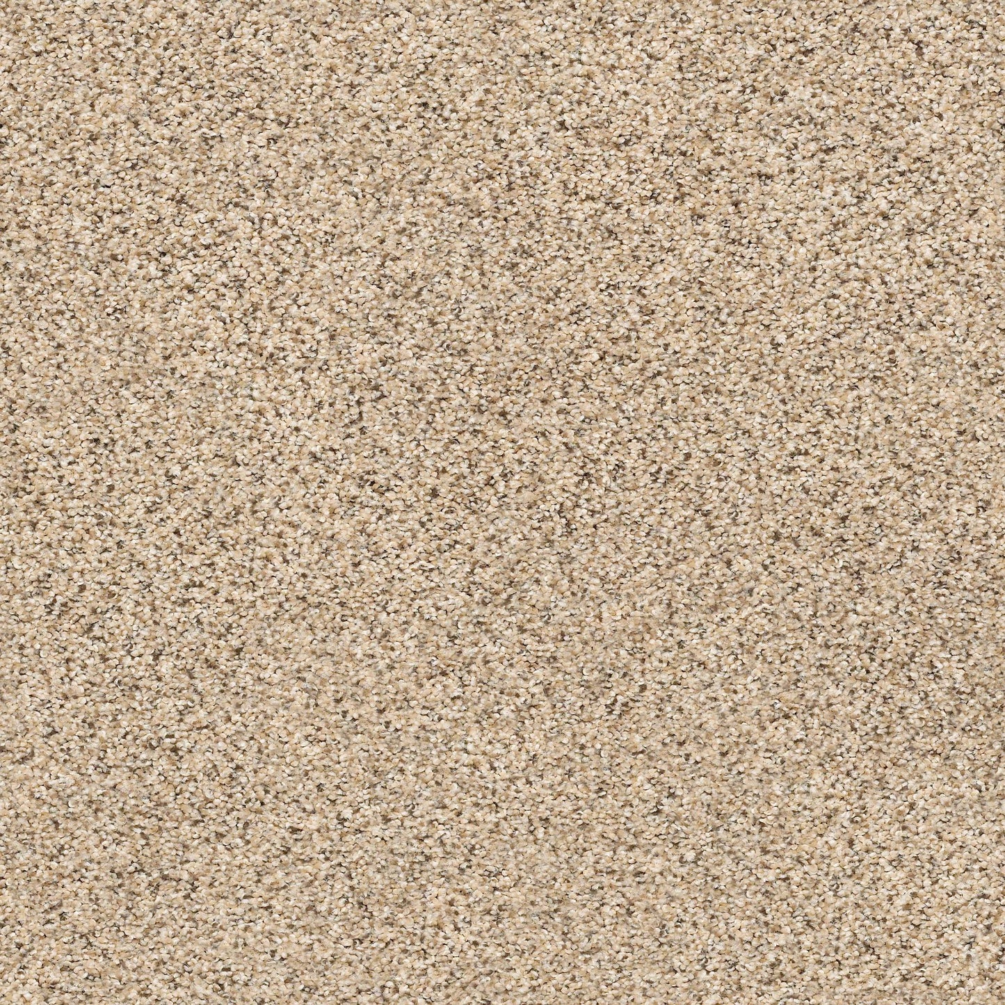 BERBER CUT PILE