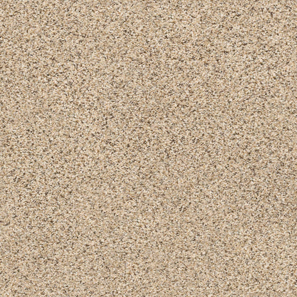 BERBER CUT PILE