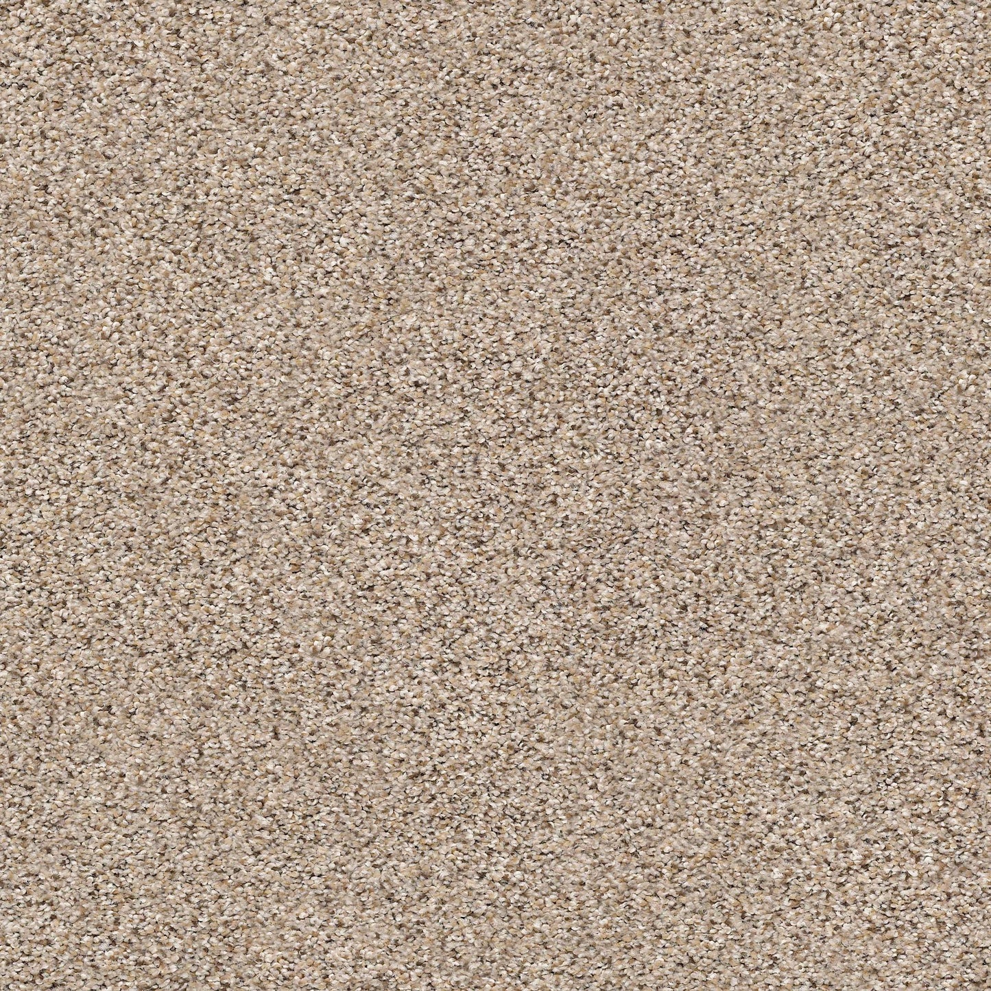 BERBER CUT PILE