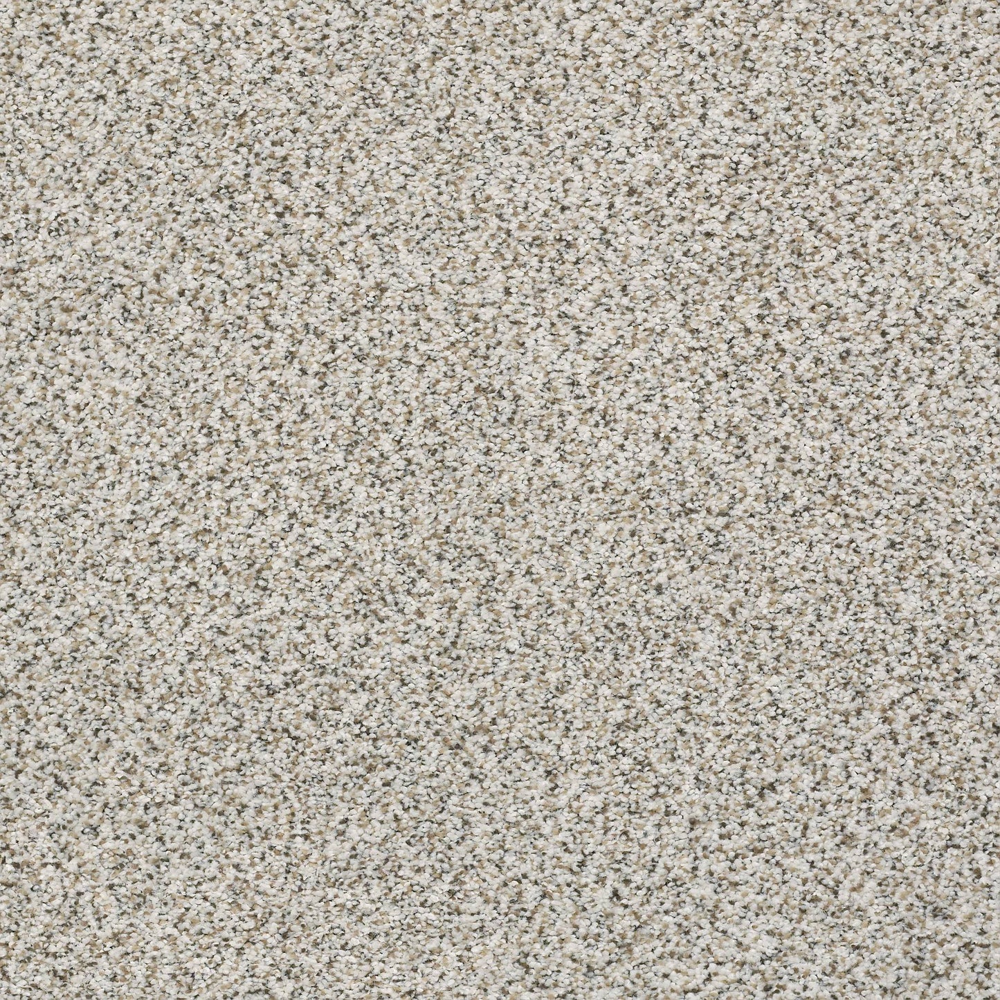 BERBER CUT PILE