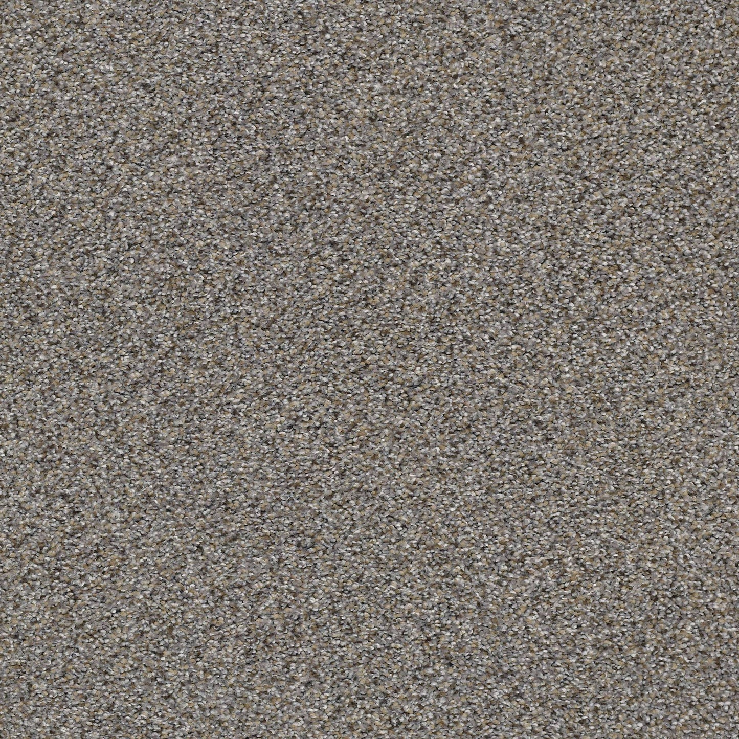 BERBER CUT PILE