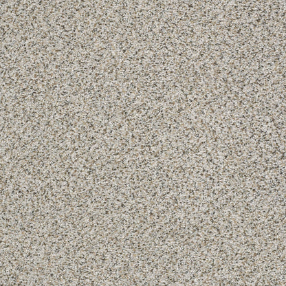 BERBER CUT PILE