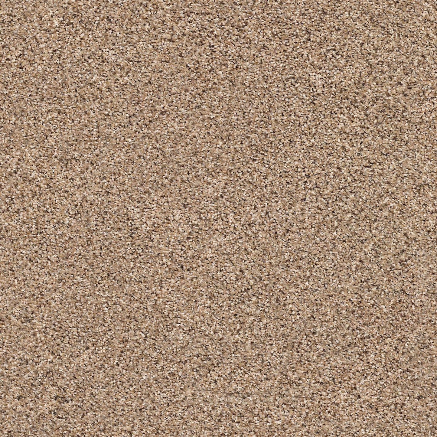 BERBER CUT PILE