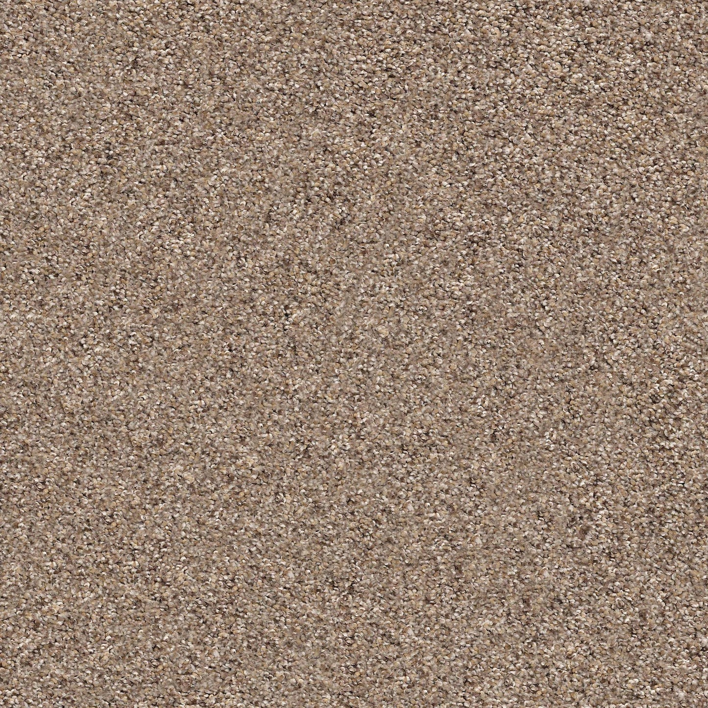 BERBER CUT PILE