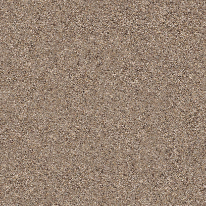 BERBER CUT PILE