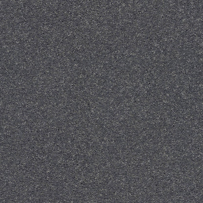 HIGH PERFORMANCE BCF PET