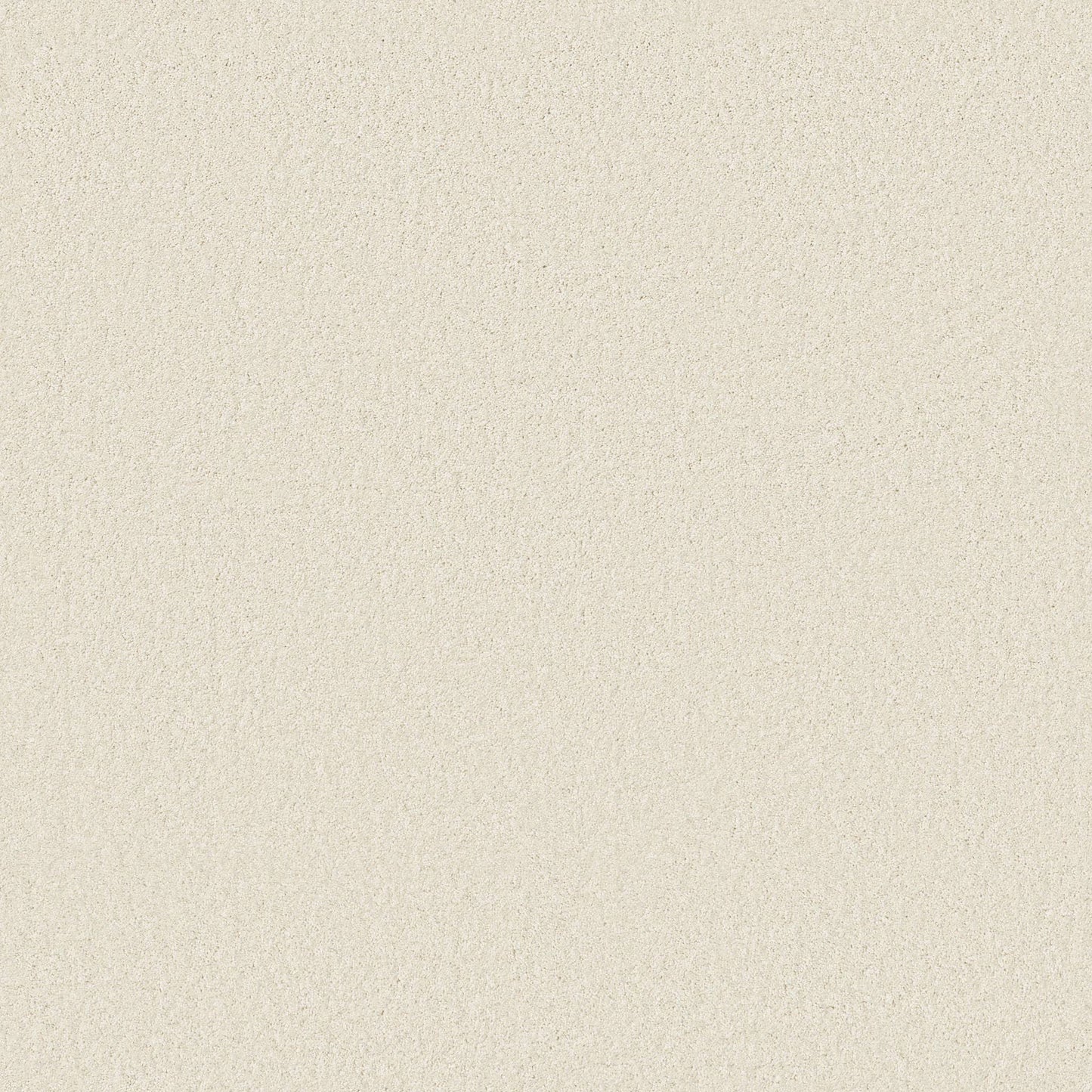 TEXTURE BCF