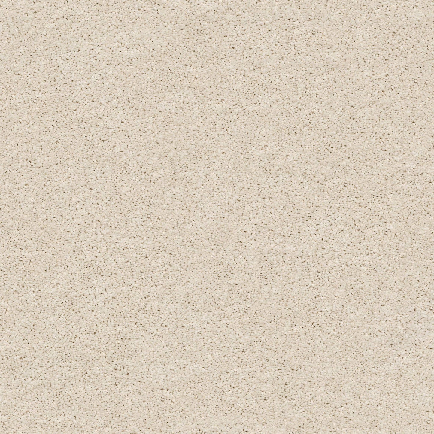 TEXTURE BCF