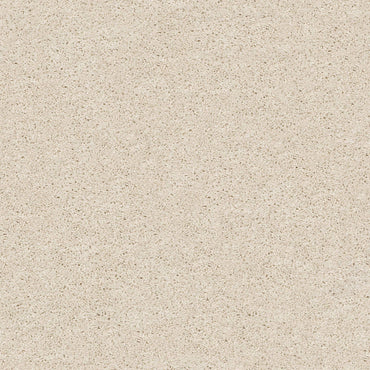TEXTURE BCF