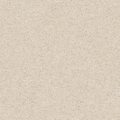 TEXTURE BCF