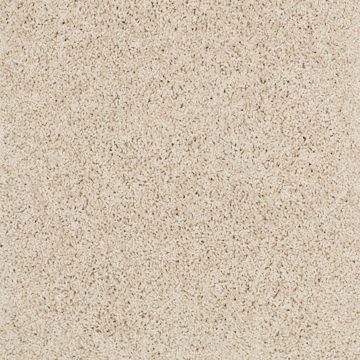 TEXTURE BCF
