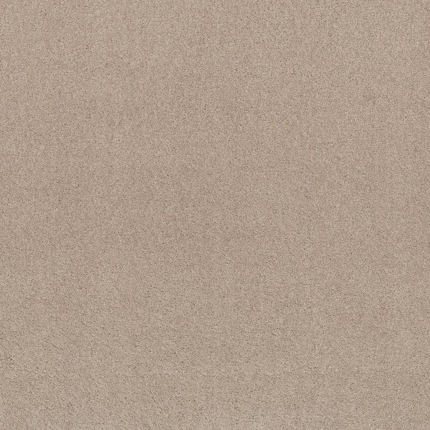 TEXTURE BCF