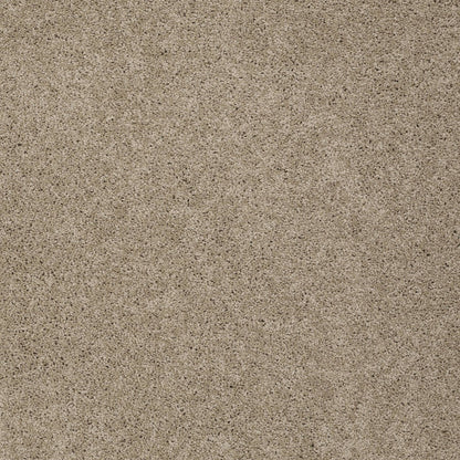 TEXTURE BCF