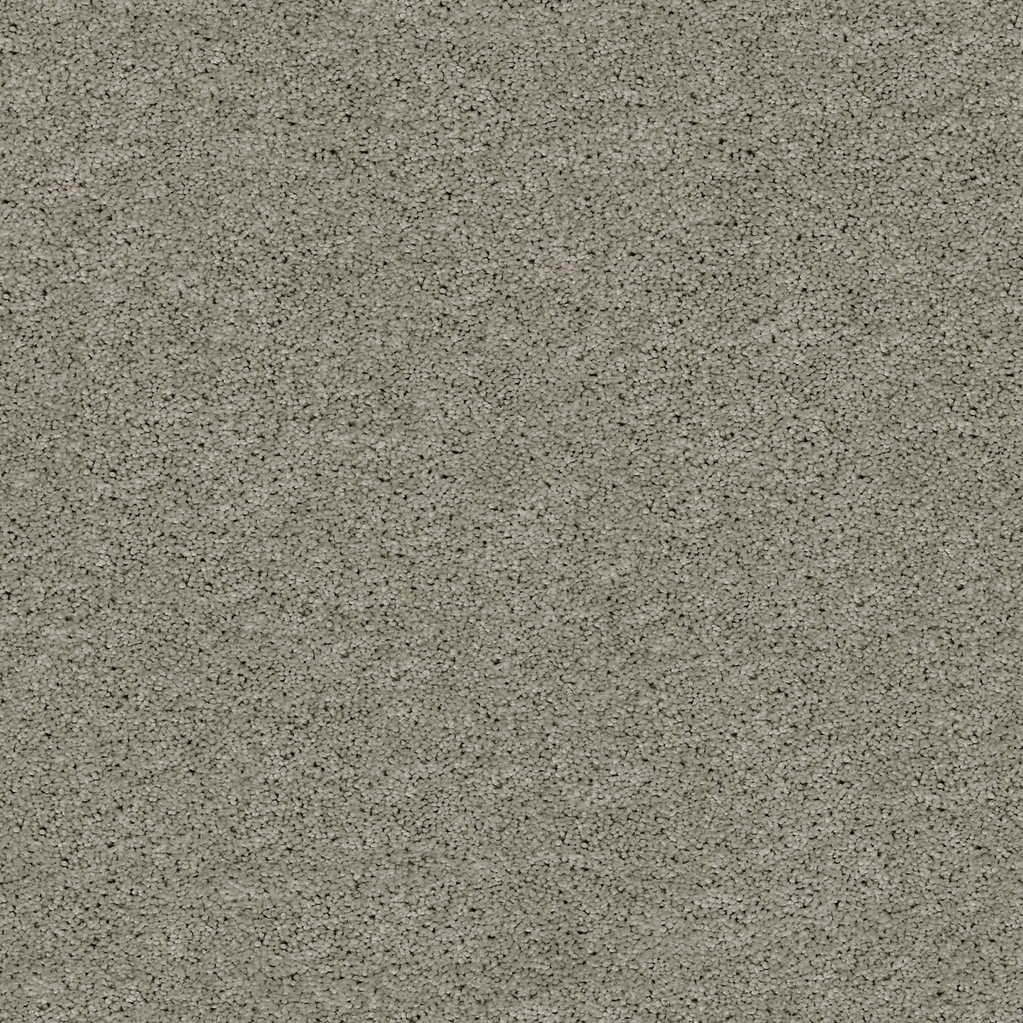 TEXTURE BCF