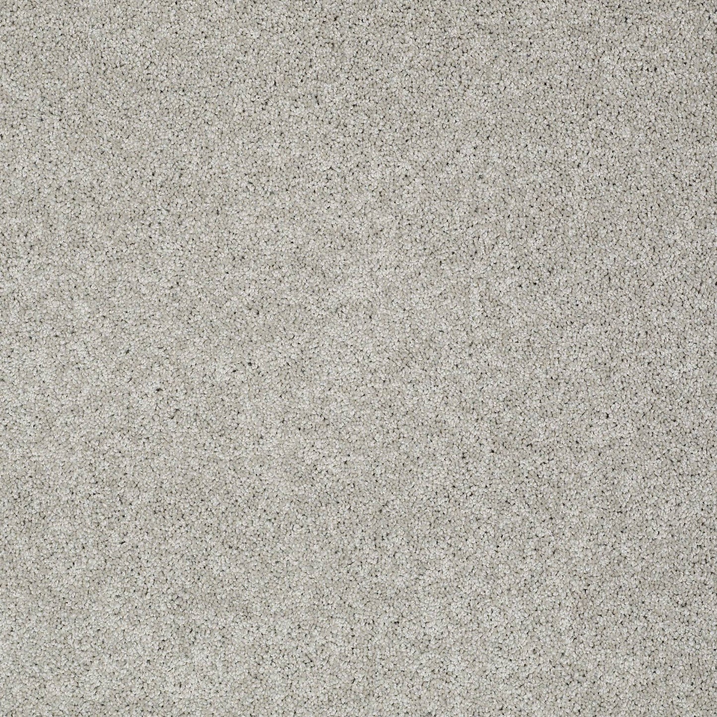TEXTURE BCF
