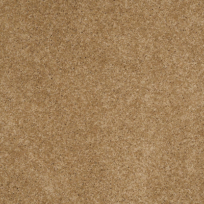 TEXTURE BCF